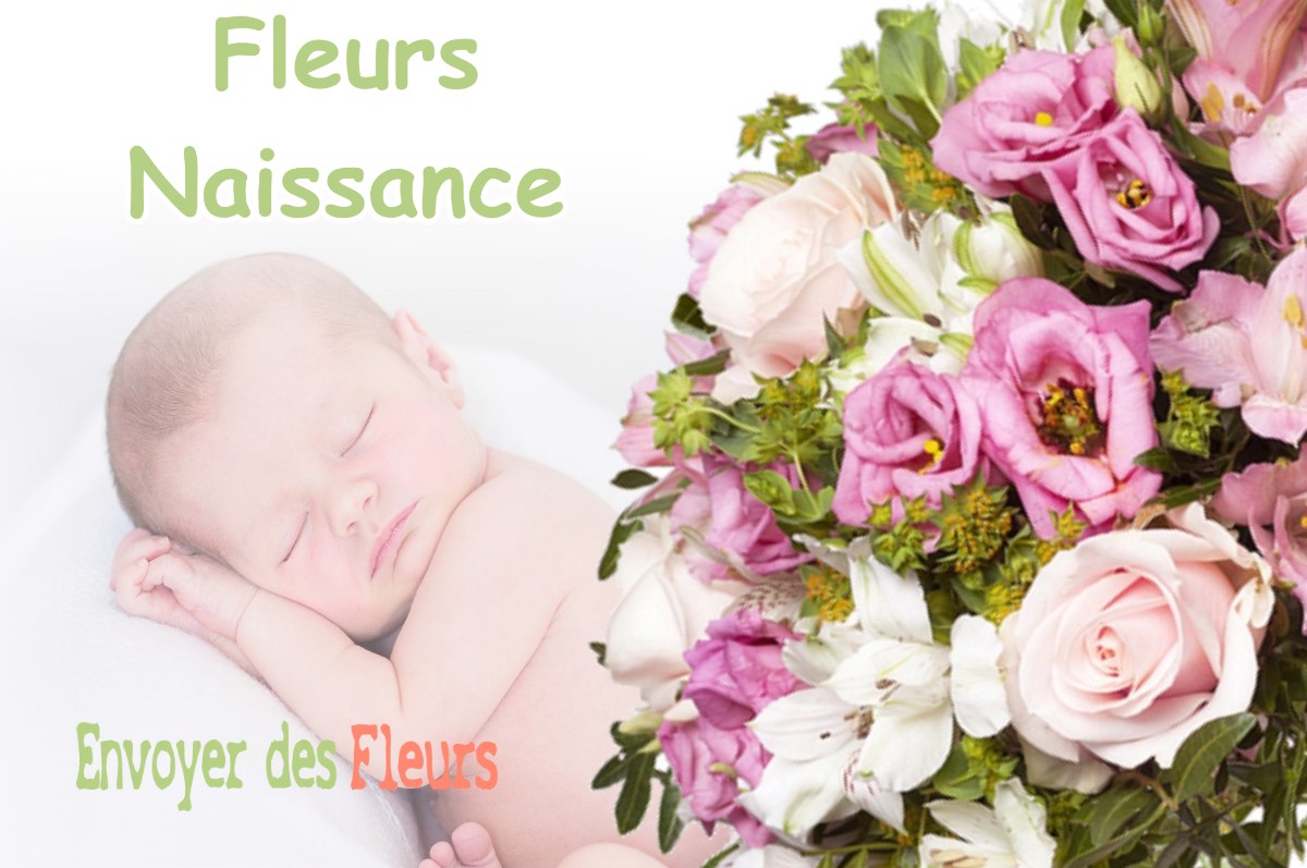 lIVRAISON FLEURS NAISSANCE à MONTBERON